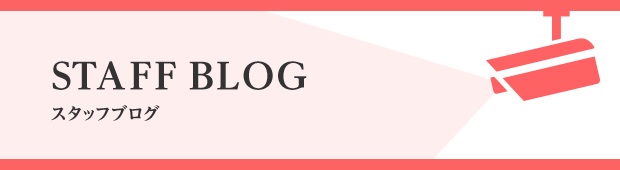 スタッフブログ