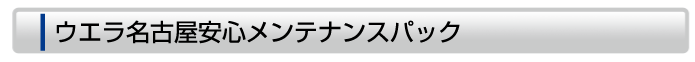 ウエラ名古屋安心メンテナンスパック