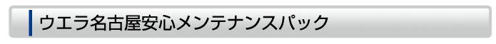 ウエラ名古屋安心メンテナンスパック